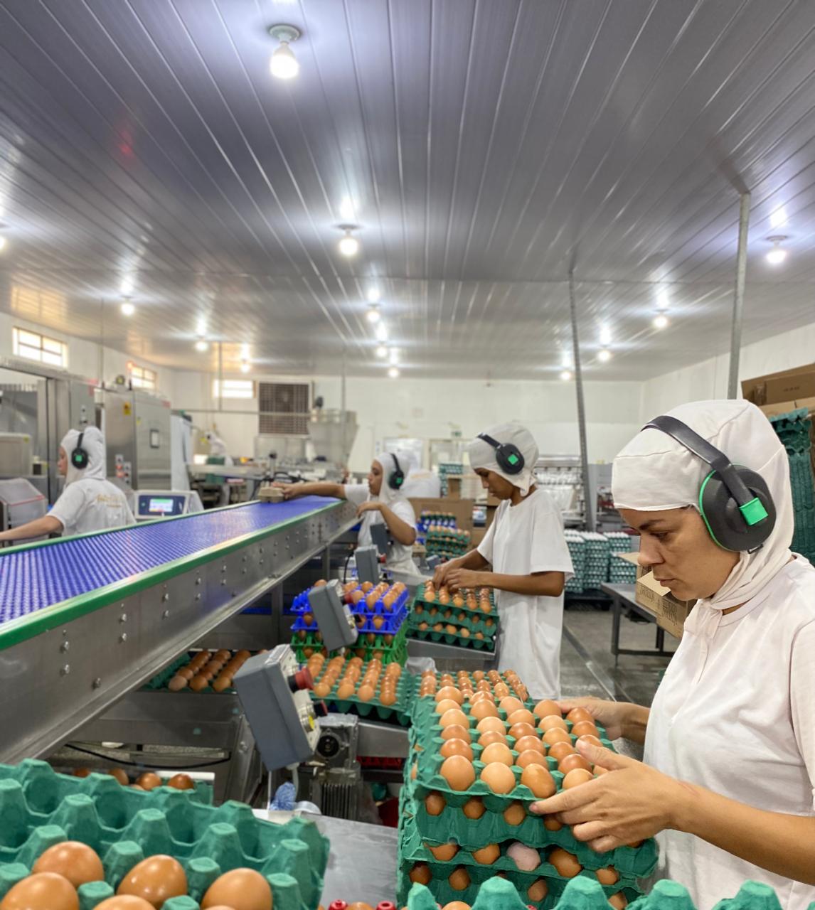 Funcionários operando os produtos